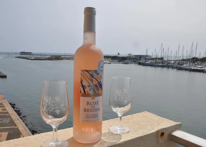 Avec Balcon, Vue Mer, Piscine, Parking Apartment